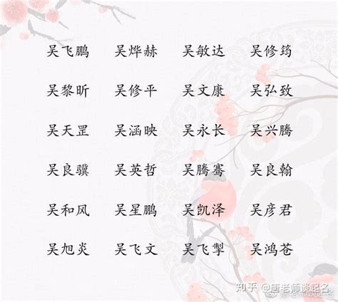 姓吳 取名|姓吴男孩名字大全